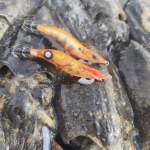 Potera Kanji Clicks Prospec 2.5